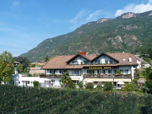 Pension Runer BnB Settequerce