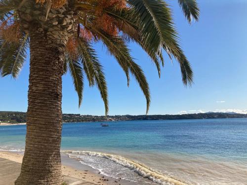 T2 cosy , plage à pied, clim et parking