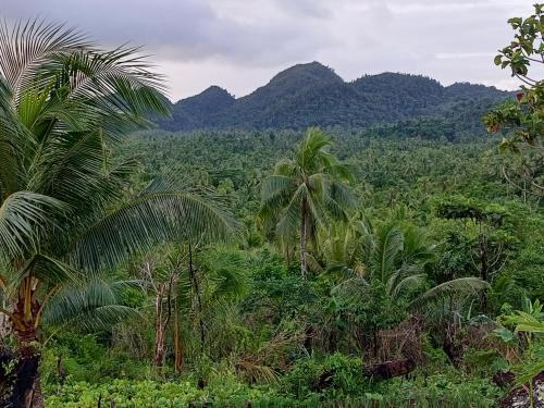 Philippine Mountain Eco Resort in Burgos (Surigao)