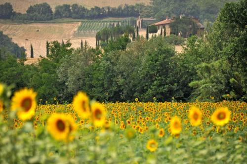  Agriturismo Val di Sterza, Querceto bei Miemo