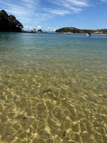 Beach, Dawson Downs in Upper Moutere