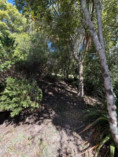Garden, Dawson Downs in Upper Moutere