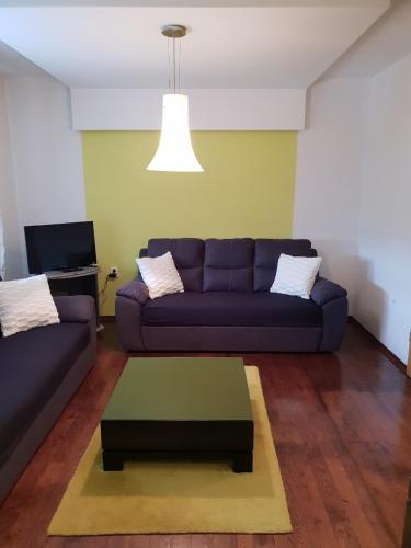 Apt Andjela