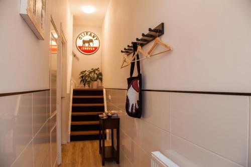 Olifant, Groningen (fotografie 10)