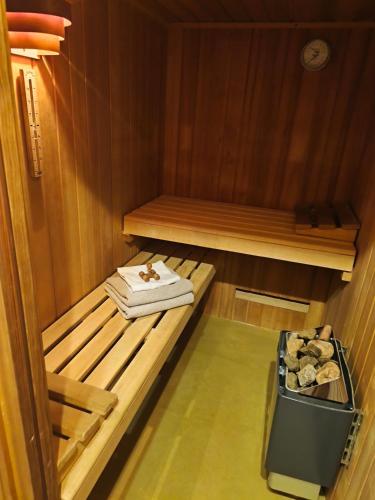 Sauna, Vila Rychleby Javorník (Vila Rychleby Javornik) in Javornik