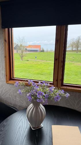 Вид, Tinyhouse Giethoorn in Гісорн
