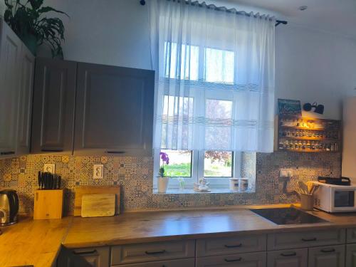 virtuve, Vila Rychleby Javorník (Vila Rychleby Javornik) in Javornik
