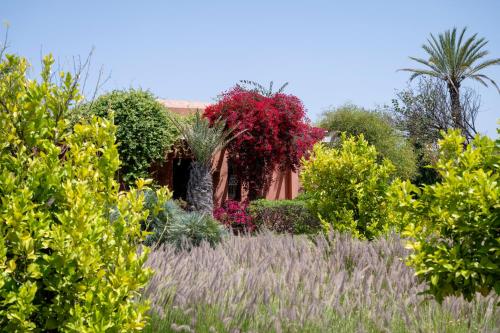 Bab Akoul Atlas - Boutique Hotel & Spa - image 13