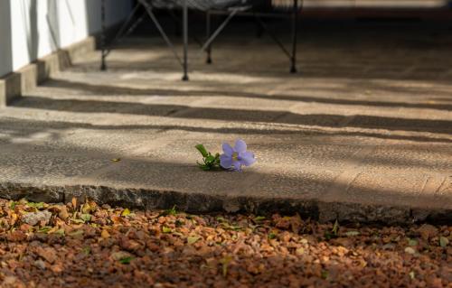 Mangalam Boutique Villa Private Pool & Courtyard Suites Trincomalee - image 2
