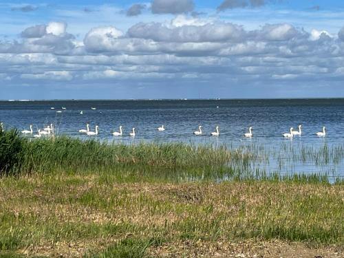 pludmale, Mihkliranna Puhkemaja in Tostamaa Vald (Parnu County)