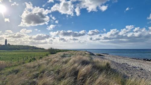 Urlaub mit Hund - Spätsommer an der Ostsee genießen (Urlaub mit Hund - Spatsommer an der Ostsee genießen) in Riepsdorf