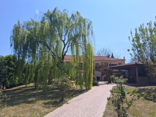 Το Σπίτι Της Κλαίουσας House Of Weeping Willow gîte à louer Kamária