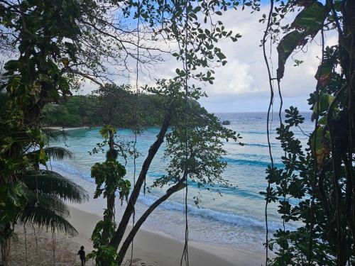 Caribbean Retreat - hosted by OurGermaicanLife in Drapers