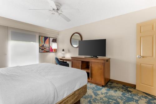 1 king bed, 1 sofa bed