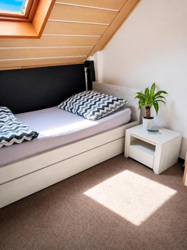 1 twin bed