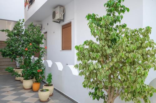  Naxos apartment in Naxos Chora