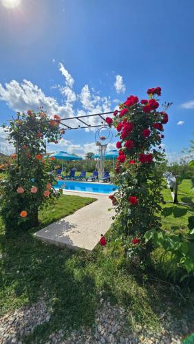 Casa cu Trandafiri Murighiol – khách sạn tại Dunavăţu De Sus