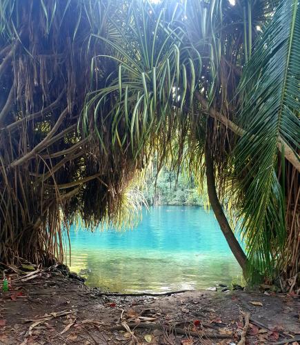 Caribbean Retreat - hosted by OurGermaicanLife in Drapers