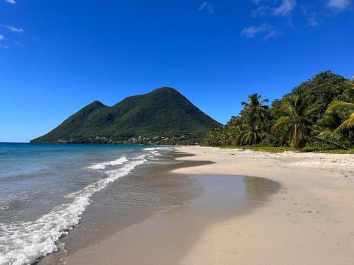 ชายหาด, La Palmeraie au Diamant in เดียมานท์