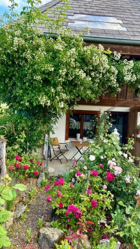 Rosenhüsli in Gerzensee, Schweiz