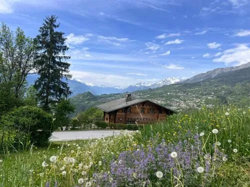 Himalayan vibes in Icogne, Schweiz