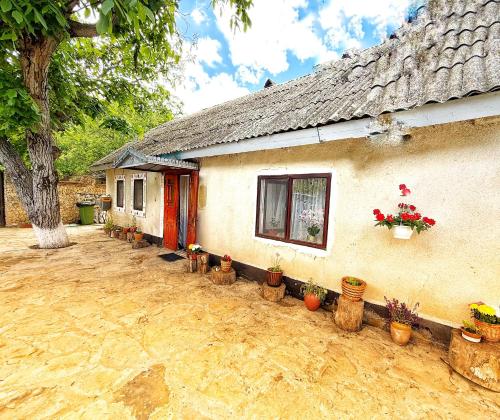 Casa Veche in Trebujeni
