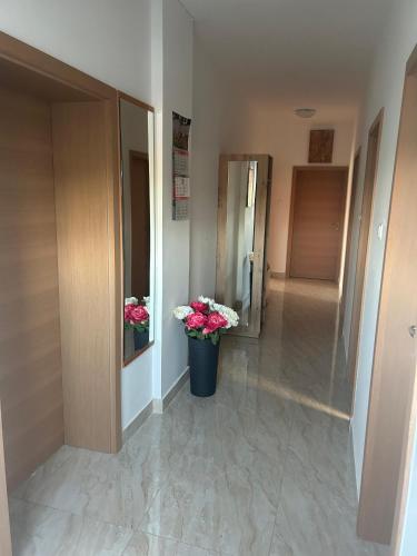 Deluxe apartman Mimi Viskovo with a free parking space in Sroki