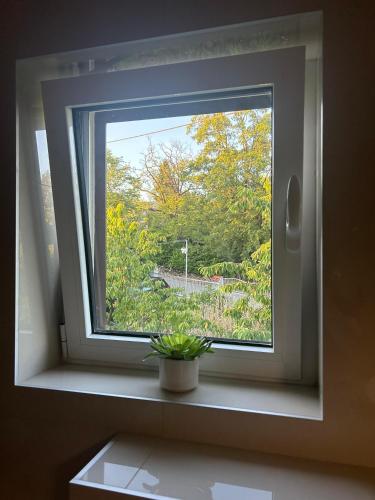 Deluxe apartman Mimi Viskovo with a free parking space in Sroki