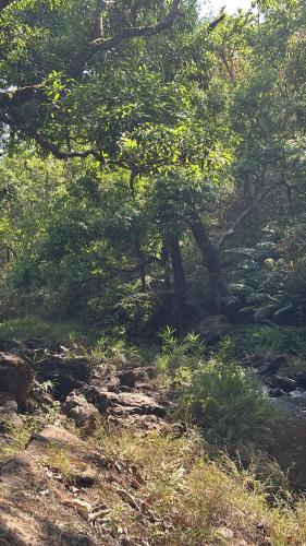 OBEROI RESIDENCY  photo 4