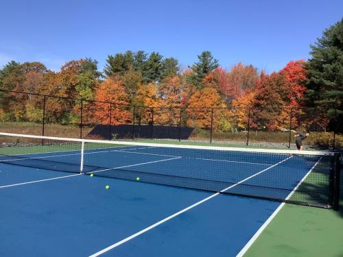 . Wild Blueberry Farmhouse - Nature and Sports!