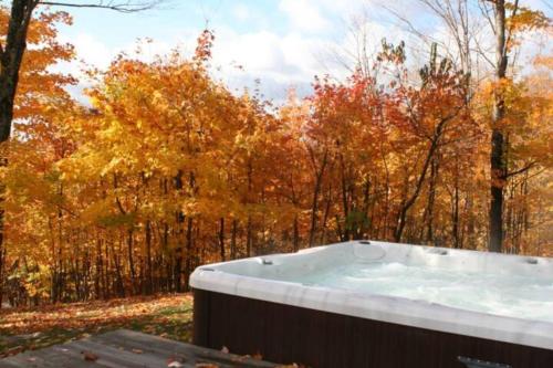 2 bdrm Tremblant Haven-pets & spa-walk/ski to hill - La Macaza