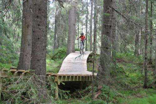 Sports and activities, Trysil Alpin 16A Top location in Trysil