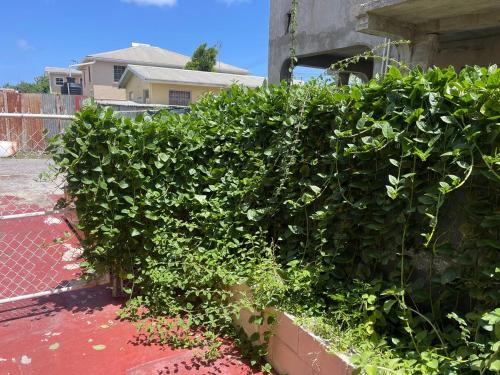 ROANA APTS 2 Bedroom Upstairs Apt Centrally located with Air Condition - image 2