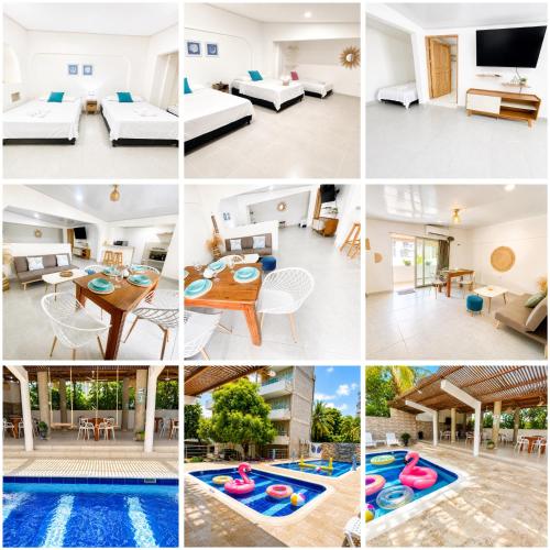 Apartasuite tolu