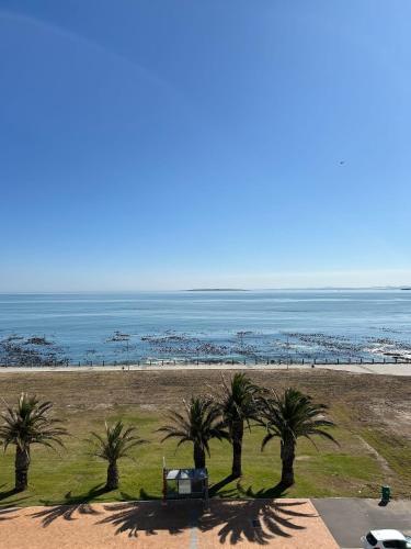 Spot Dolphins from your Balcony - image 9