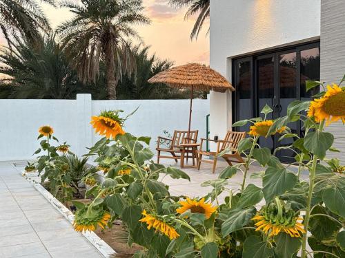 Etlaala Chalet in Ibri