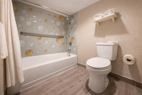 Suite, grande, cucina