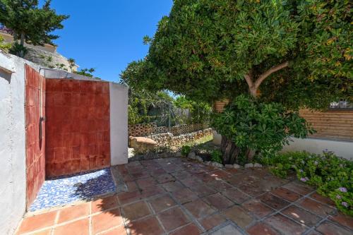 Finca Marx - image 3