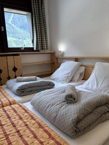 Alpenrose Chamonix in Chamonix-Mont-Blanc
