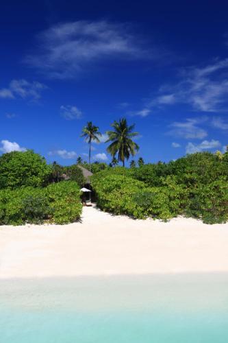 Six Senses Laamu - image 5