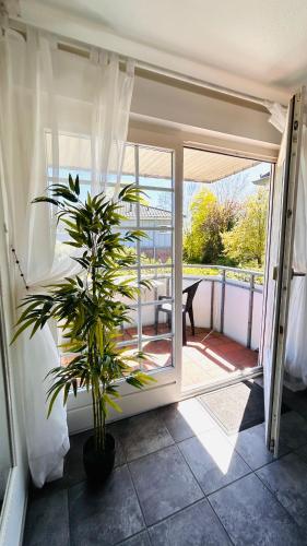 Blumenvilla Staytopus - Heidepark, Kartbahn, Sauna, Parken in Шневердінген