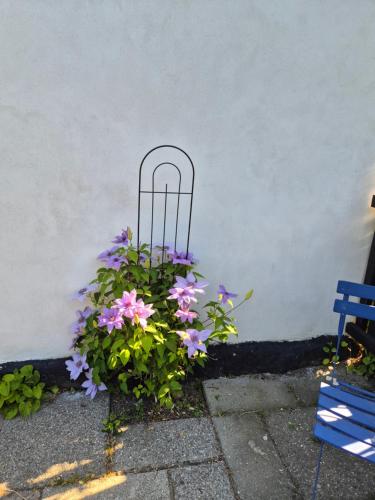  Pegasus Bed & Breakfast in Hillerød