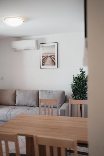 OLIVE, Nerezine