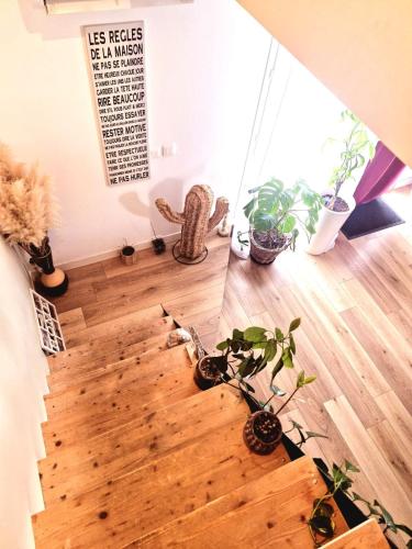 Spacious, comfortable, and cozy apartment in Marseille