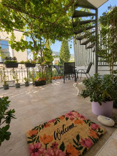 Kiwi Apartments Budva
