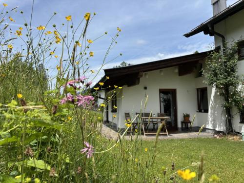 Bergnest Fieberbrunn