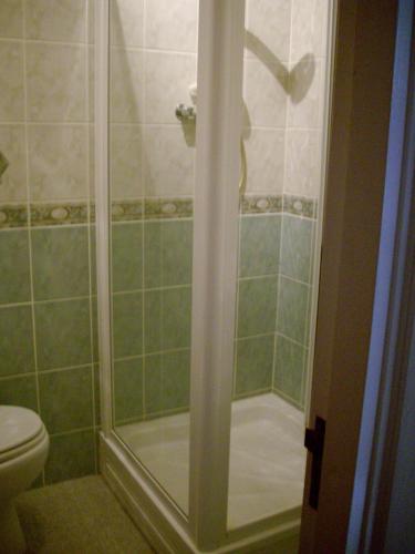 Viking Hotel - image 7