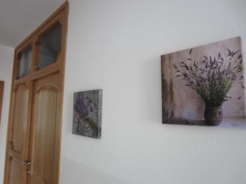 Apartments Matkovic