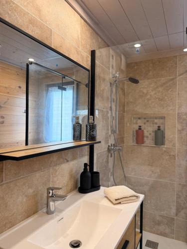Chalet nature in Chateauneuf-Les-Bains