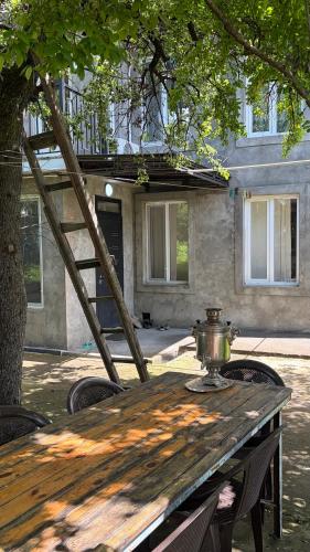 Come and explore the nature of our town! in Qax